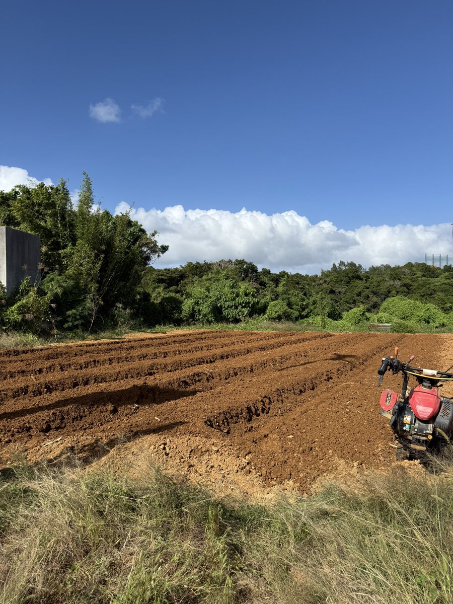 沖縄農園、畑づくり進行中。
マルチ張りの方法は、あえて安曇野農園とは変えて、現地の農家さんに教わったやり方で。
風土に合わせることで見えてくることがあります。
農業は、土地とともに育つもの。
#YARIFLOWERFARM #花農家 #沖縄農園 #二拠点栽培