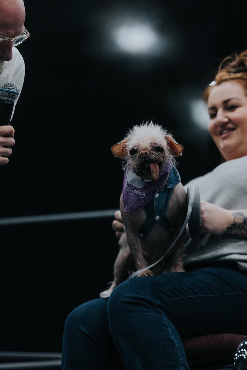 Did you catch Peggy’s first on stage appearance at this years Comic Con Aberdeen?

📸Robyn McDiarmid
#comicconscotlandaberdeen #monopolyevents