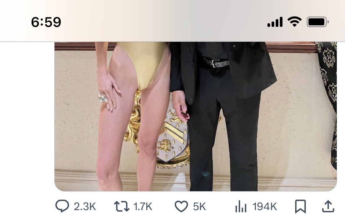 I know this full photo is going around - but this is the pet that confuses me. I don’t understand her proportions. 

She’s fabulous - don’t get me wrong - I just think this area is really long. Or this is a very bad outfit. Or both.