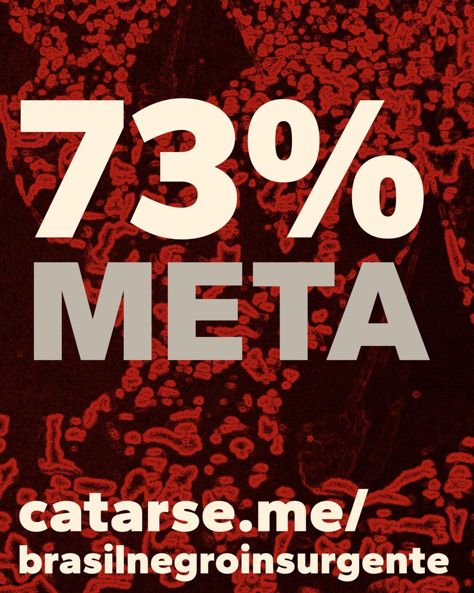 Estamos perto. Muito perto.
Cada novo apoio aproxima o livro das mãos de quem precisa conhecer essas histórias.
A insurgência negra continua ecoando nas páginas e nas ruas. catarse.me/brasilnegroins…