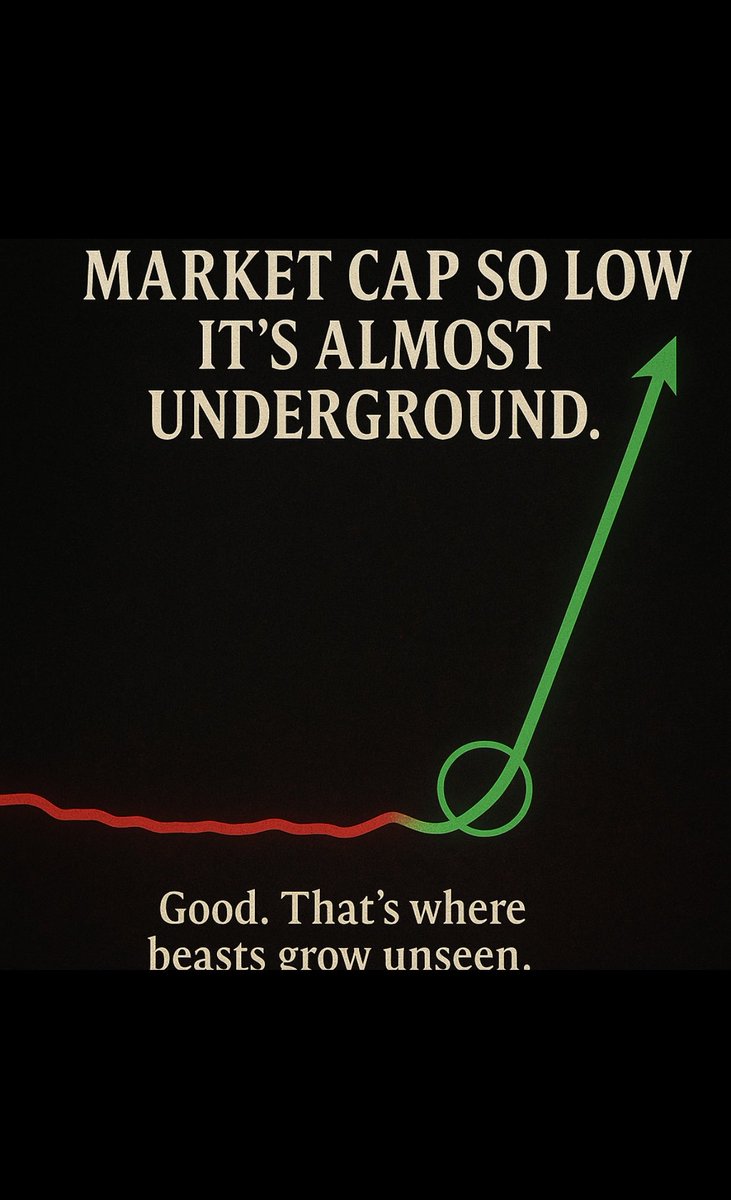 #MXM #MAXIMUS #SOL #MemeSeason