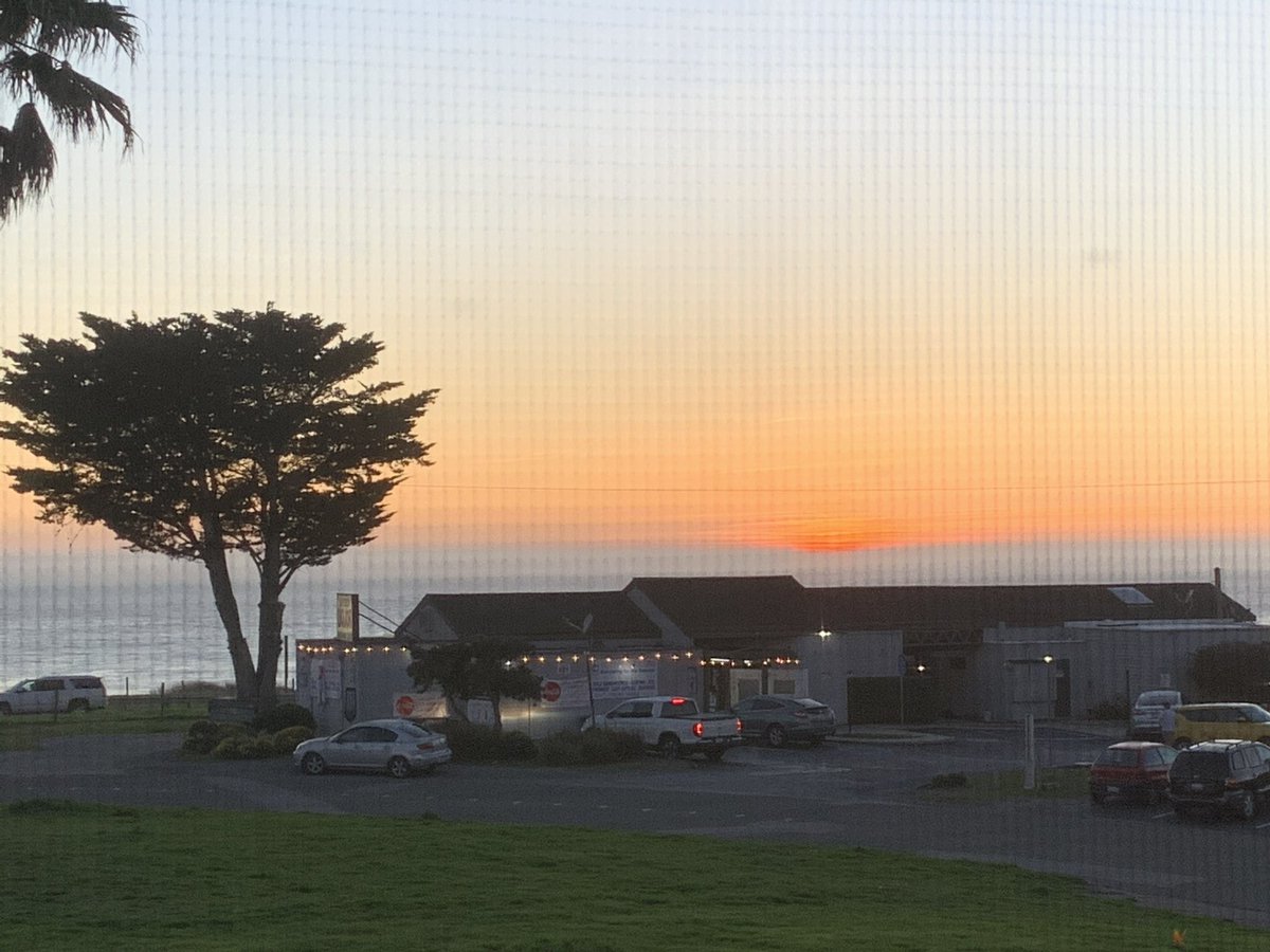 fxwright's tweet image. #singletree