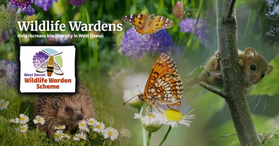 Our new wildlife warden scheme website is live!

The website focuses on how people living in West Devon can get involved with helping nature thrive, and provides information on how we can increase and protect biodiversity in our area.

westdevon.gov.uk/wildlife-warde…