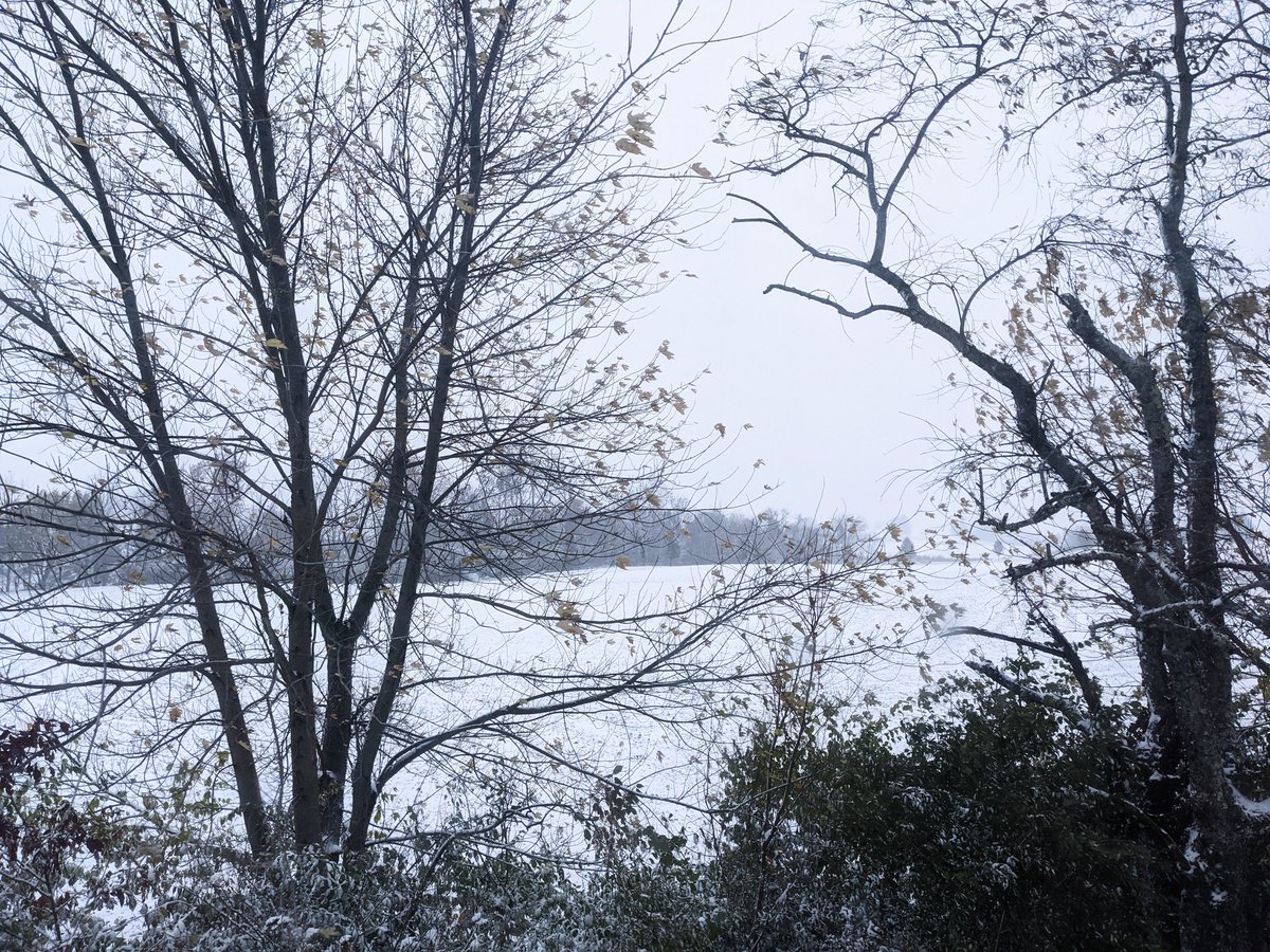 Morning at home. ❄️