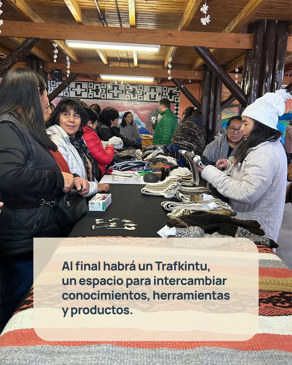 🤝🏽 Vos también podes ser parte de Neuquén Equidad

👉🏼 Este sábado 15 de noviembre vamos a presentar los ejes de trabajo con ONU Mujeres y el Consejo Federal de Inversiones en pos de la equidad de género en nuestra provincia.

Inscribite acá 👇🏽

bit.ly/JornadaNeuquen…