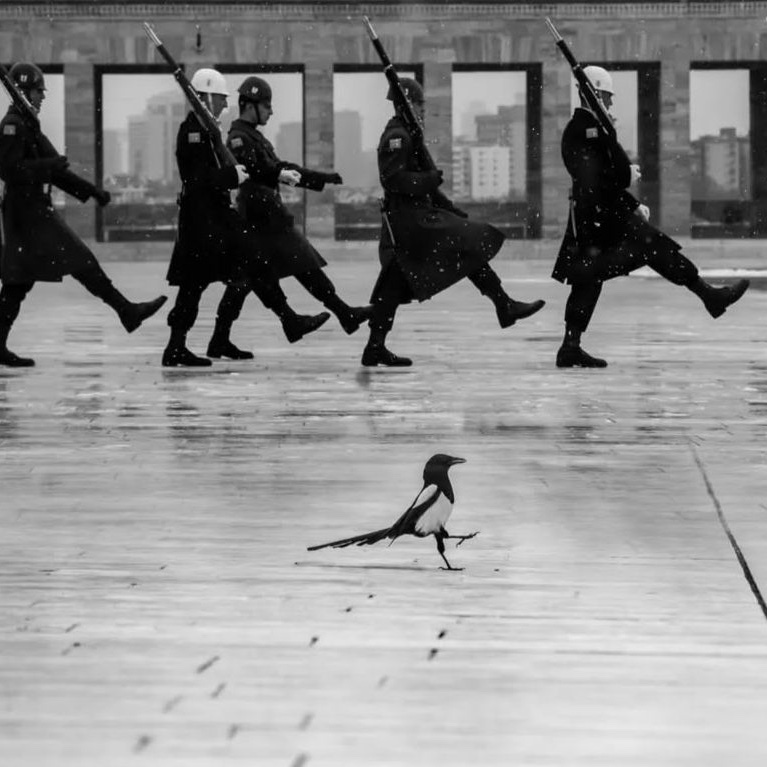 Anıtkabir'de geçmiş yıllarda çekilen bir fotoğraf.