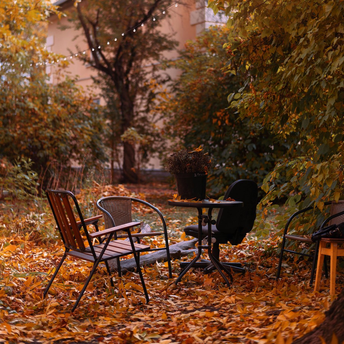 YourGardenGrl's tweet image. Leaves on the ground? Nature’s free compost! 🍂 Shred &amp;amp; spread them over your garden beds for cozy winter protection.

yourgardengirl.com

#SustainableGardening #FallTips #YourGardenGirl