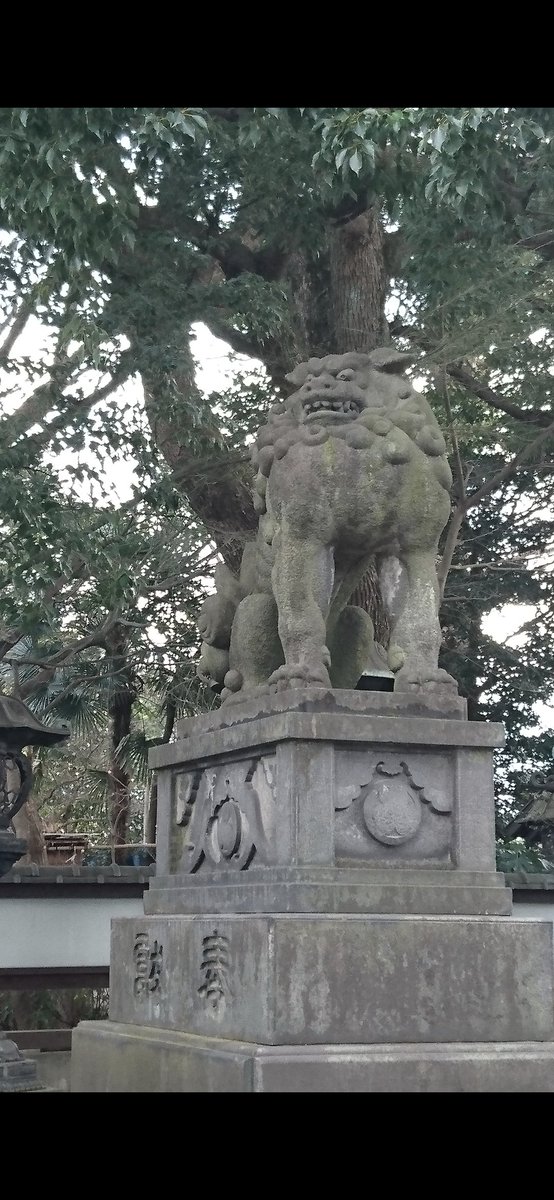 気付いたら御朱印を集めはじめて10年経っていたのもあり、ちょいと整理してたら場所を思い出せず気になるものが…いつも鳥居から撮影させてもらうんだけど、見当たらなくて狛犬さんも分からん……で、現物引っ張り出して印を見たら上野東照宮だった！！スッキリした…モヤモヤで寝れなくなるとこだった