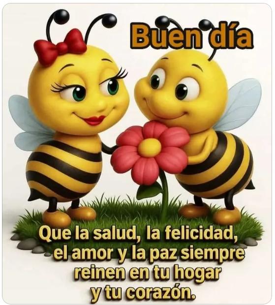 GabrielCodecid1's tweet image. Saludos feliz comienzo de semana