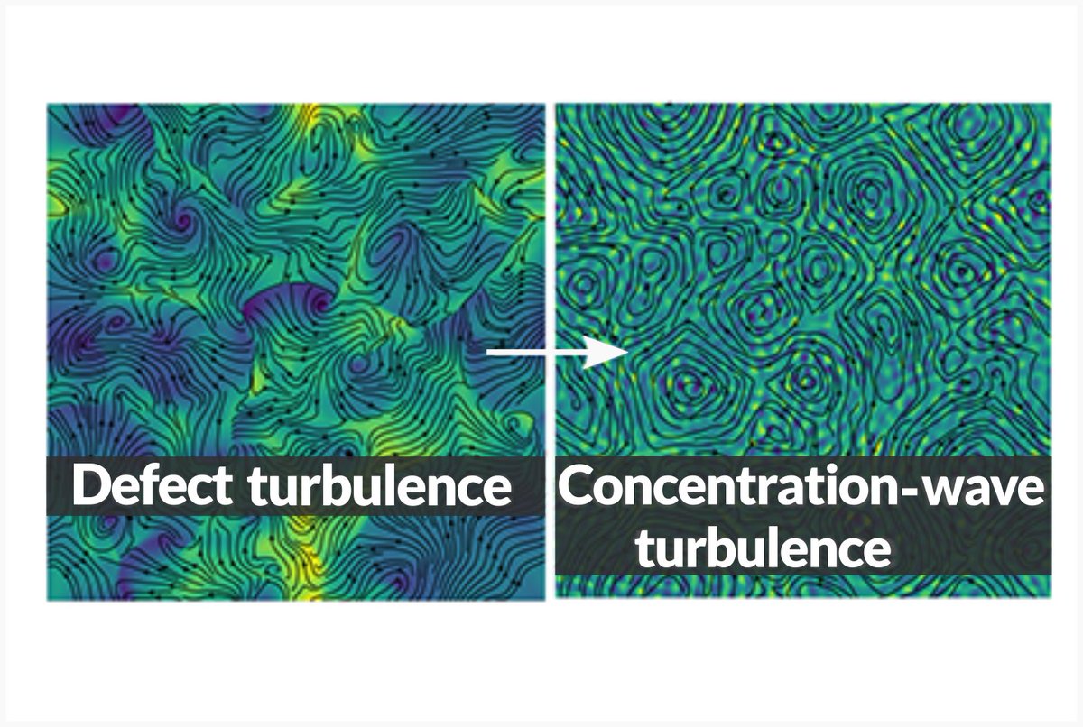 Ordered microswimmer flocks can lose stability due to swimming stresses creating chaotic, turbulent-like flows with topological defects. This state shifts to one where defects coexist with concentration waves, driven by swimmer concentration fluctuations.

go.aps.org/49KRUWv