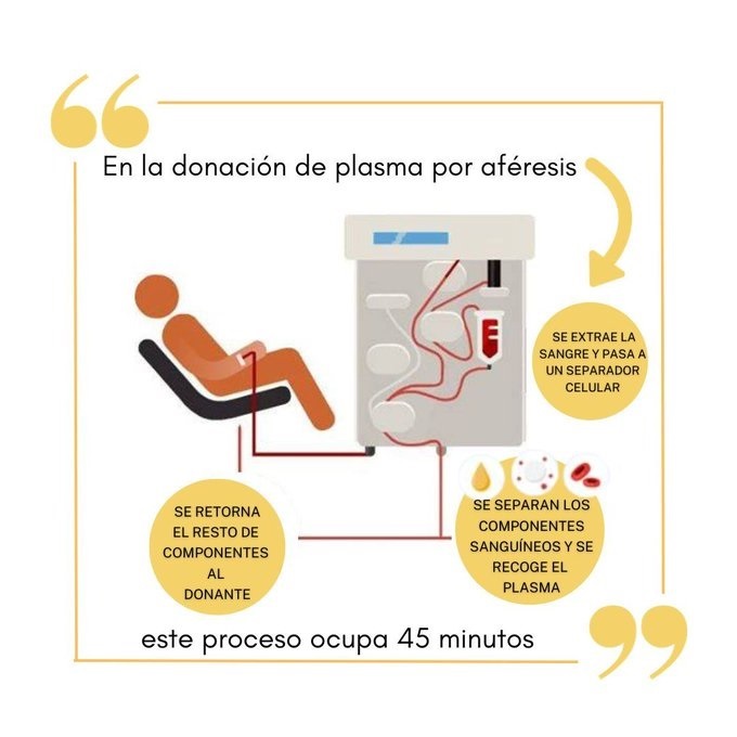 ¿𝑪𝒐́𝒎𝒐 𝒔𝒆 𝒓𝒆𝒂𝒍𝒊𝒛𝒂 𝒍𝒂 𝒅𝒐𝒏𝒂𝒄𝒊𝒐́𝒏 𝒅𝒆 #plasma? 🧡

Completa el formulario y te informamos: 
🔗bit.ly/3ncday3 

#DonaPlasma #PlasmaTuGenerosidad