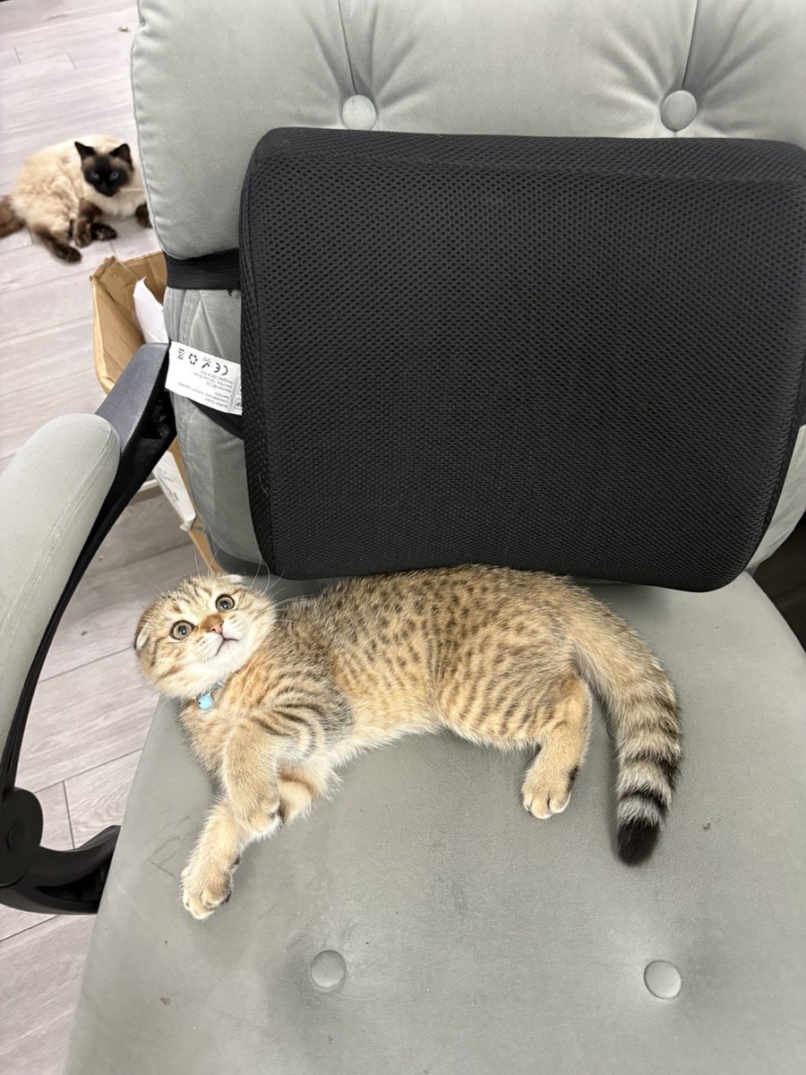SleepyVayne's tweet photo. Nito appreciation post https://t.co/VFa6bp1I1c