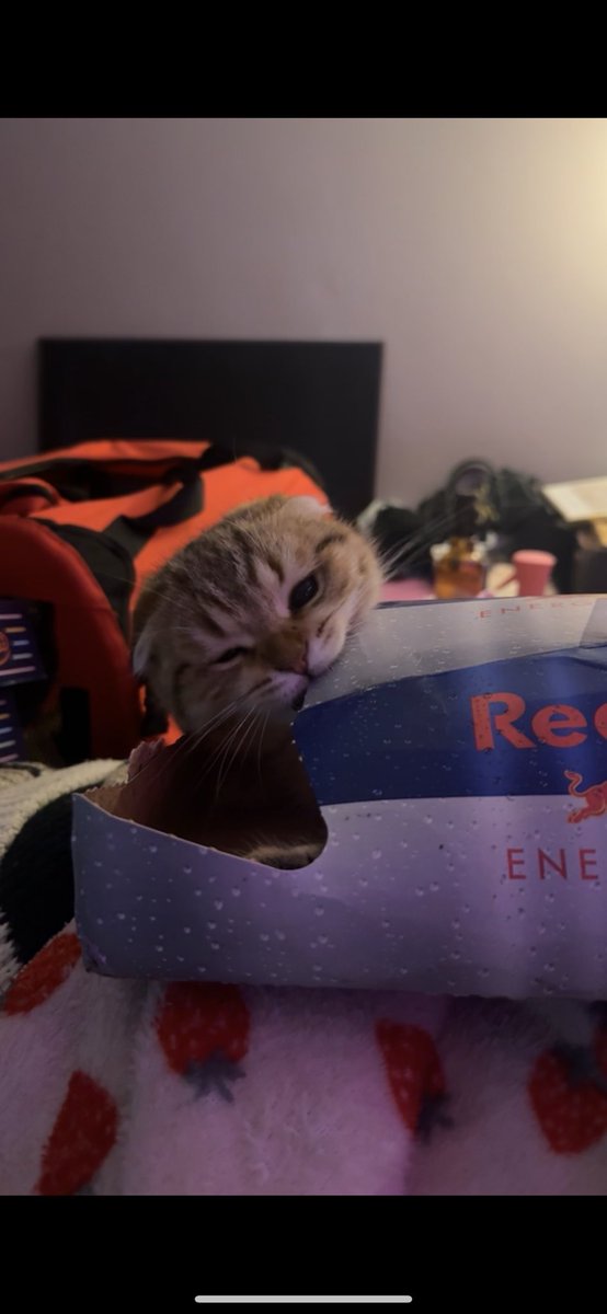 SleepyVayne's tweet photo. Nito appreciation post https://t.co/VFa6bp1I1c
