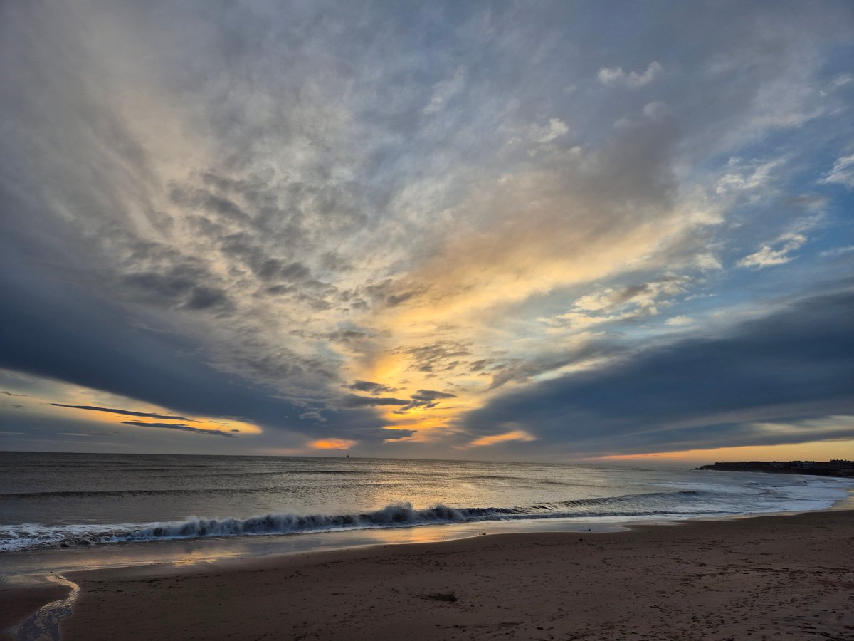 ZSLScience's tweet image. “If ecosystems go, we go.” 

Prof @Pettorelli leads expert ecologists in calling for an ecosystem approach to nature restoration in new @BritishEcolSoc &amp;amp; @nationaltrust report. 

Fragmented strategies aren’t enough. 

britishecologicalsociety.org/time-to-rethin…