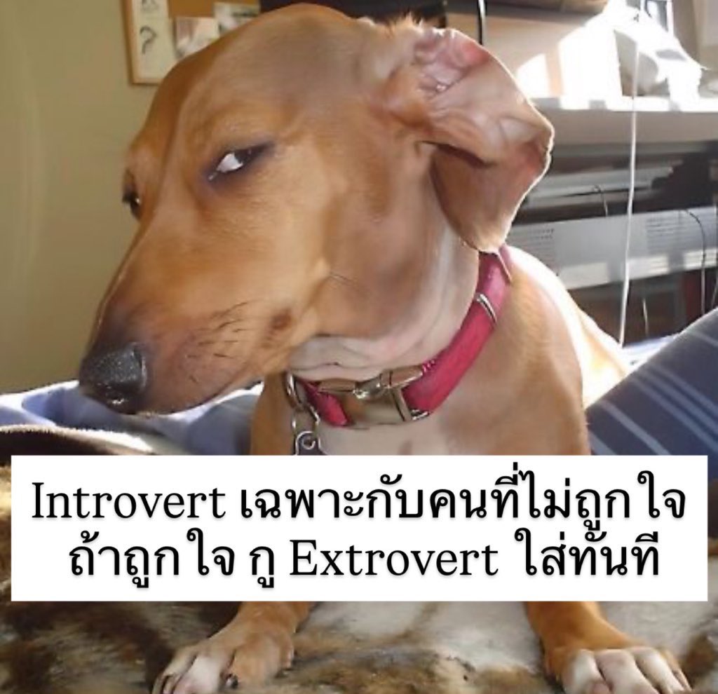 sfkkfs_'s tweet image. อันนี้จริง 555555555555555