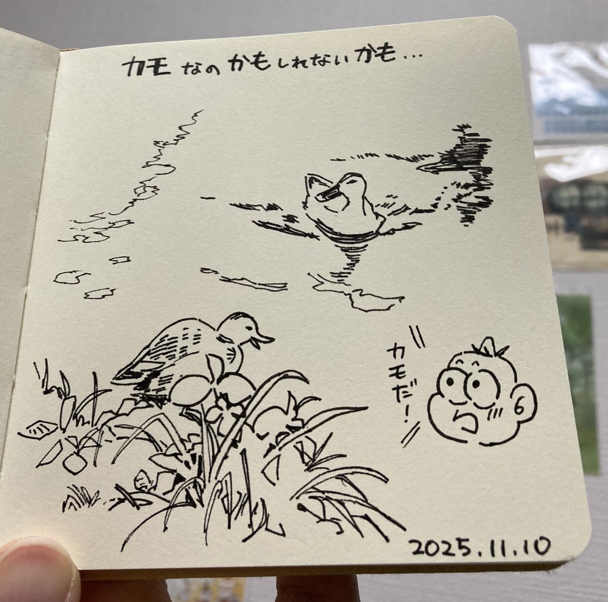 11/10　今日のスケッチ
小川に鴨がいました！かわいい。
 #スケッチ　 #アナログはいいぞ