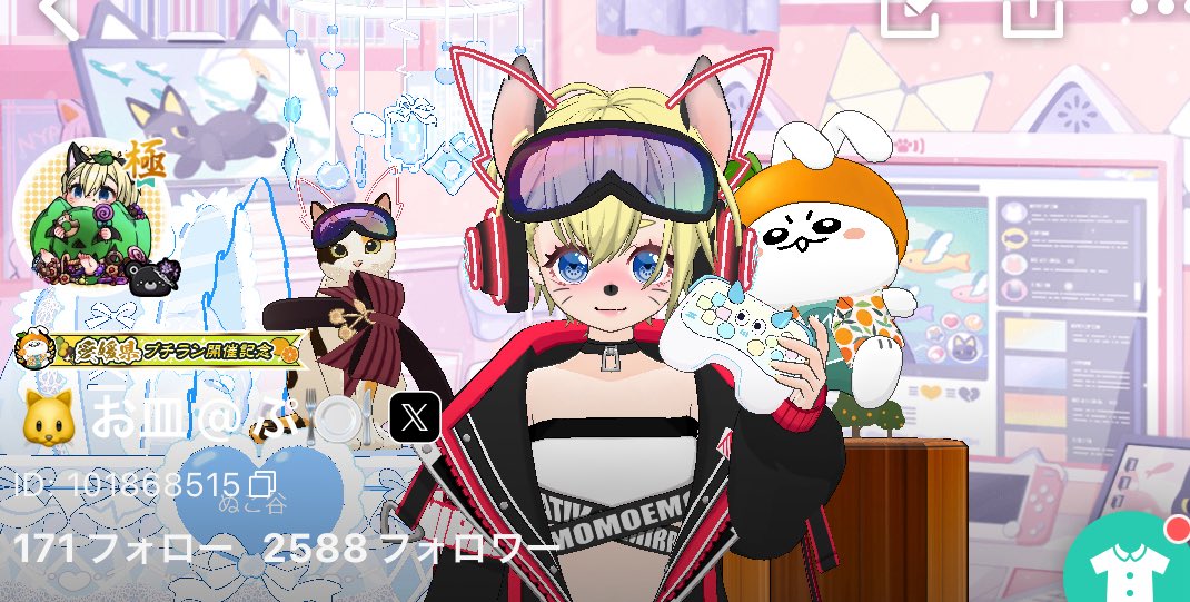 猫谷お皿 tweet media
