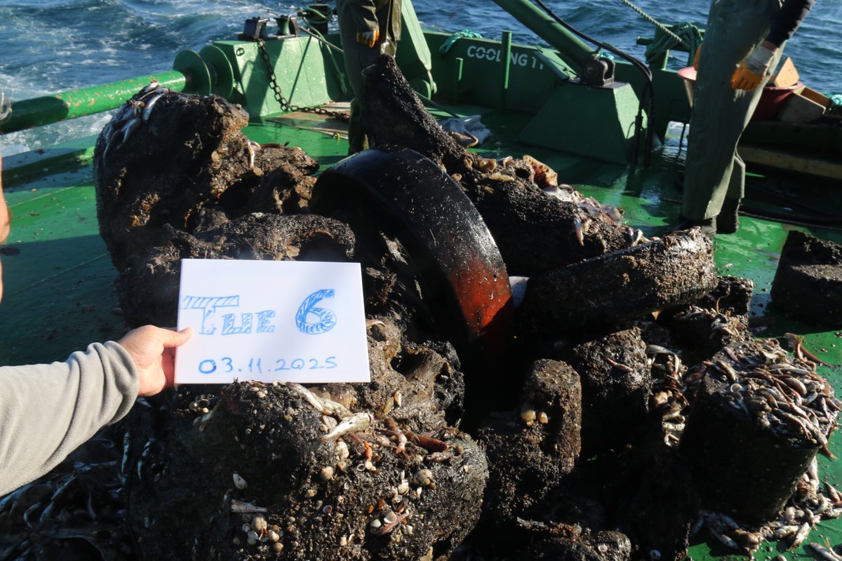 trabzonsumae's tweet photo. 1️⃣⚓️ Karadeniz’de Demersal Trol Sörveyi Çalışmaları Devam Ediyor!
FAO ve @UN_FAO_GFCM desteğiyle yürütülen “Türkiye’nin Karadeniz Sularında Deneysel Demersal Trol Sörveyi (GSA 29)” projesi, Samsun kıyılarında saha çalışmalarını sürdürüyor.🌊🐟
#Karadeniz #GFCM #FAO #TAGEM #SUMAE https://t.co/wa5gcWy1iY