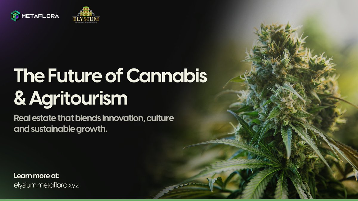 🌿 Have you seen the new ElysiumDAO.com?

Discover Cali Organics’ headquarters in California — our R&amp;D hub where we breed world-class strains, pioneer medical advancements, and share cannabis culture through tourism.

🍃 Experience prototype strain tastings, wellness