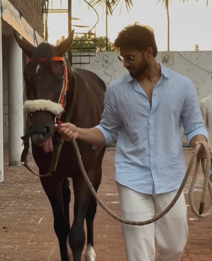 سيف🐎 tweet media