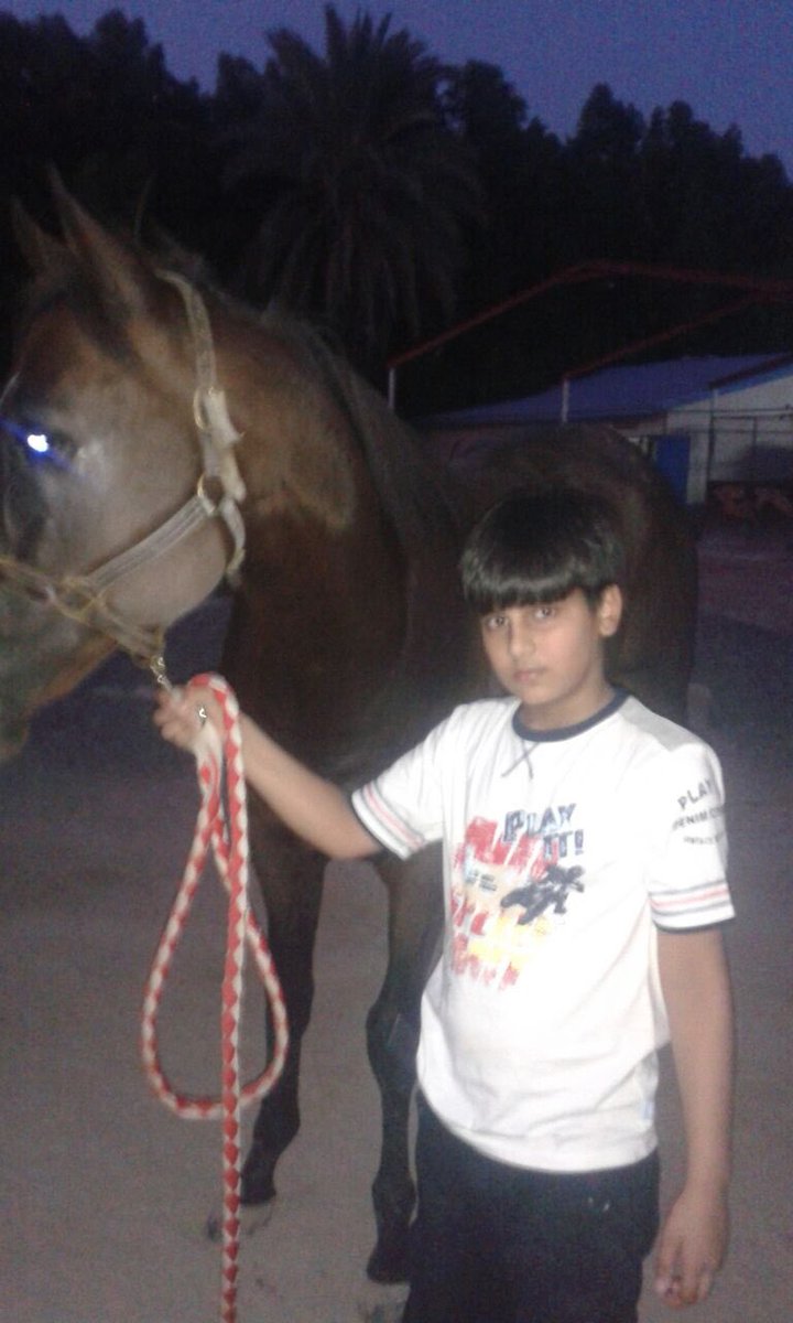 سيف🐎 tweet media