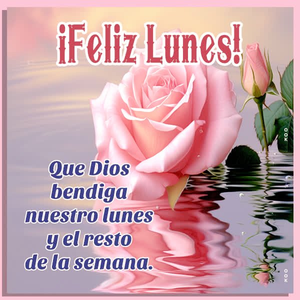 Pink rose flower floating on calm water surface with reflection below, bold red text Feliz Lunes at top, blue text Que Dios bendiga nuestro lunes y el resto de la semana below, light pink background.