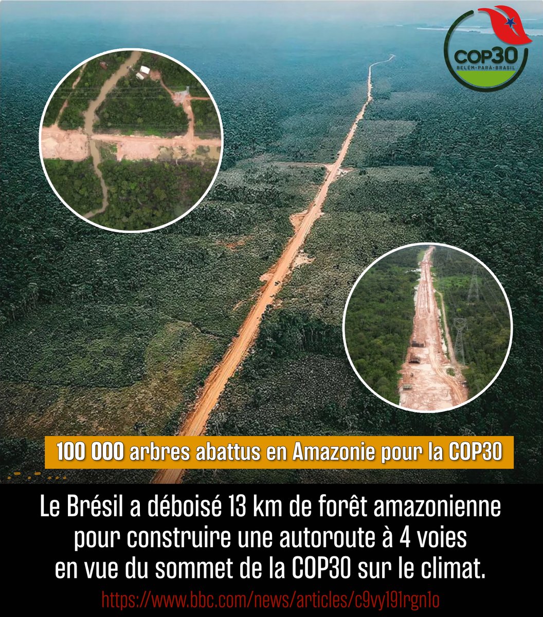 👇🧐 #COP30 
Sauver la planète… ou juste entuber l’humanité pour faire du fric ?

Ils ont déboisé 13 km de forêt amazonienne, soit environ 100 000 arbres abattus, pour le sommet sur le climat de la COP30, qui se tient du 10 au 21 novembre 2025 à Belém, au Brésil, sous présidence