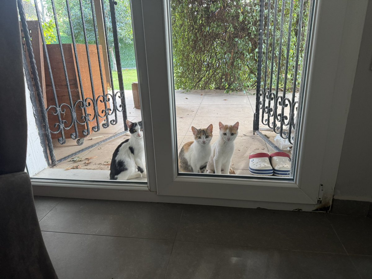 Kapı önü güzelleri.