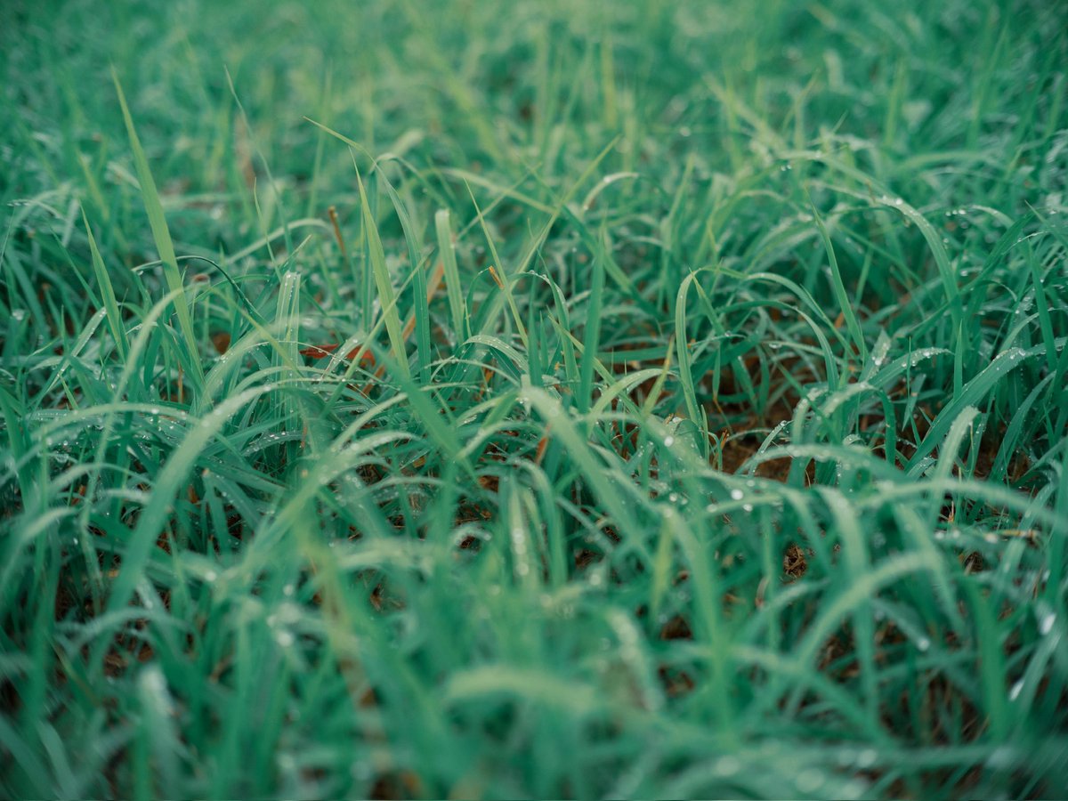 tora. (@komo_c4) on Twitter photo 