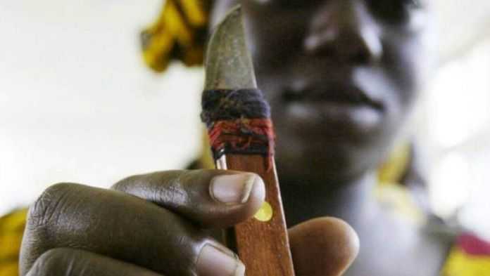 📌 Au Mali, l’excision reste une pratique largement répandue, profondément ancrée dans des normes sociales, religieuses et identitaires. 

📖 A lire l'article , Entre foi, coutume et douleur: les réalités de l’excision au Mali sur notre site ✍️ bit.ly/4hNxP3I