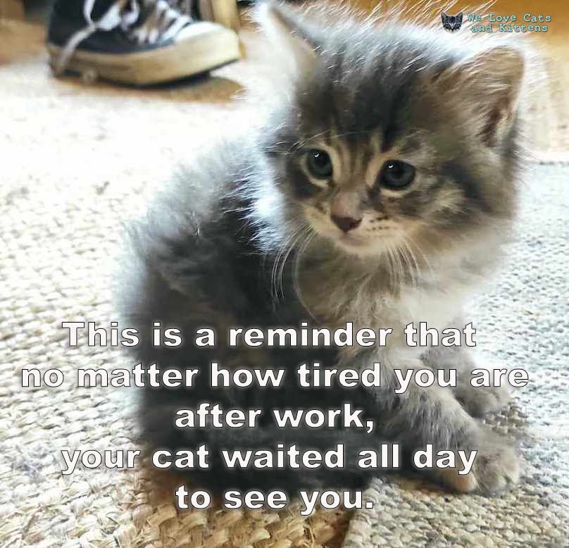 ❤️ ❤️ ❤️