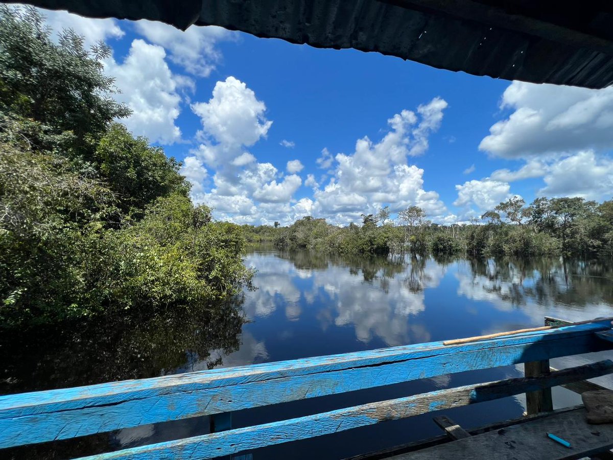 GoBalanceUK's tweet photo. In the News: Go Balance Natural Capital Credits listed as Digital Financial Assets on the Northern Trust Carbon Ecosystem — a milestone for verified #REDDplus projects and the Natural Forest Standard Registry.
Read more:🔗 https://t.co/b6EeTYiDQY

#CarbonCredits #COP30 https://t.co/DLf7qNK8BF