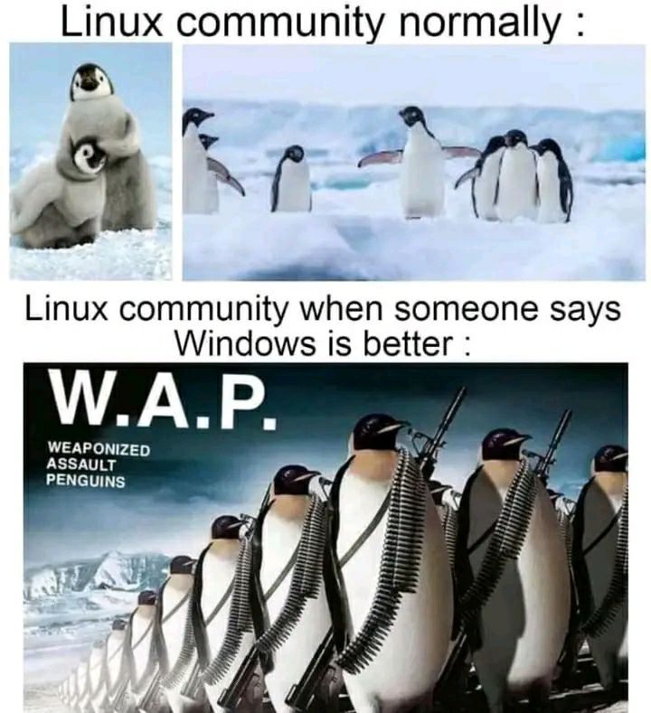 Lizardpeepill's tweet image. #linux