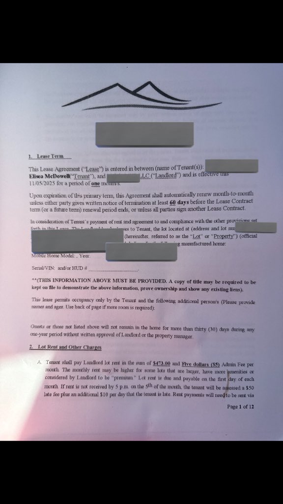 brain thing tweet media