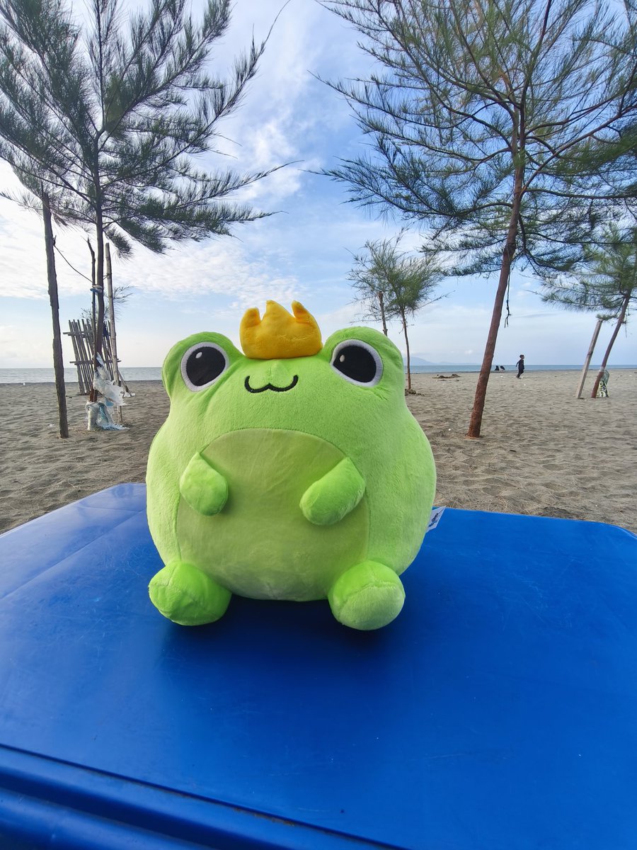 My frog king just arrived ..
$FISH TGE is around the corner , cant wait to play chapter 2

<a href="/FishingFrenzyCo/">Fishing Frenzy</a>  thanks for the doll