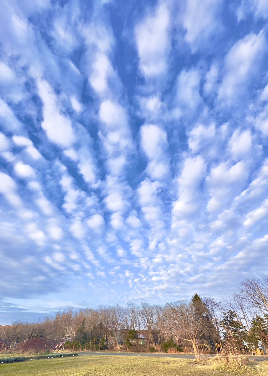 由希 (@sssYuki7351) / Posts / X