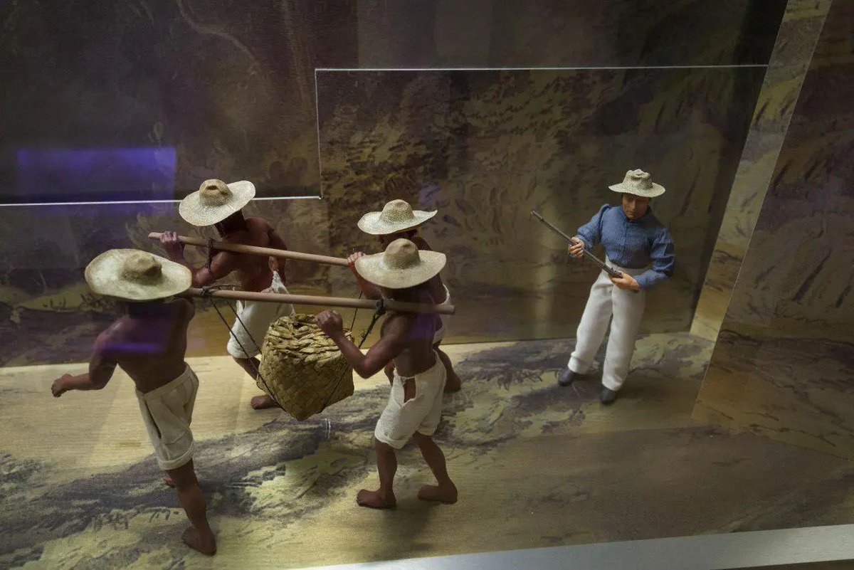 Expedition Journal tweet media