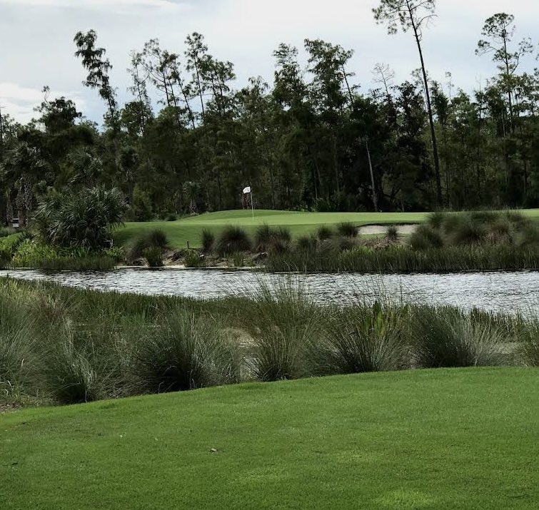 158 Par 3 wind at 17 mph right to left 143 to front edge. What is your club and shot shape? #golfshot #shotshape #mentalgame #coursemanagement #gameplan