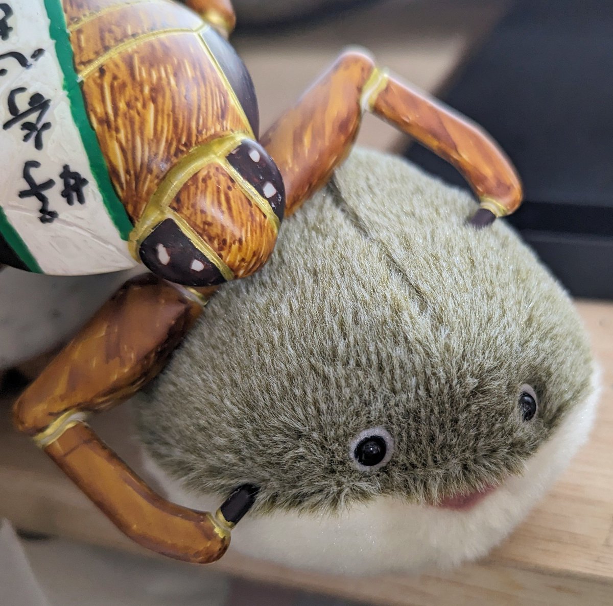 帰り際デスク見たら体液吸われてた
#サカバンバスピス