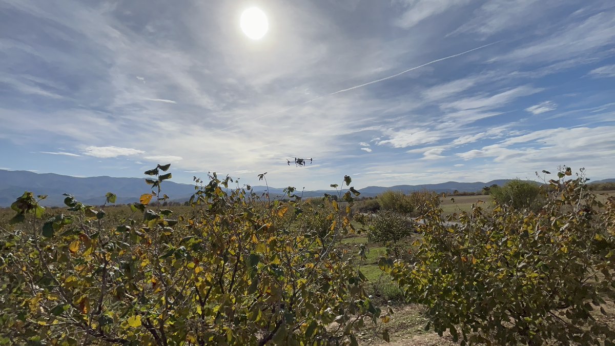 As part of the #REVIVE project of the <a href="/InterregEuroMED/">Interreg Euro-MED Programme</a> programme, SWG RRD held a training for local farmers and municipal representatives to explore drone tech in agriculture. 𖥂🎮🧑‍🌾
Supporting digital skills and sustainable farming in rural communities of #NorthMacedonia