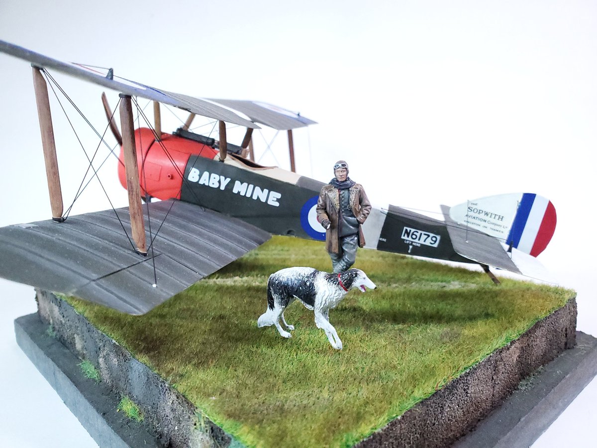 しろます（アシカイクル） on X