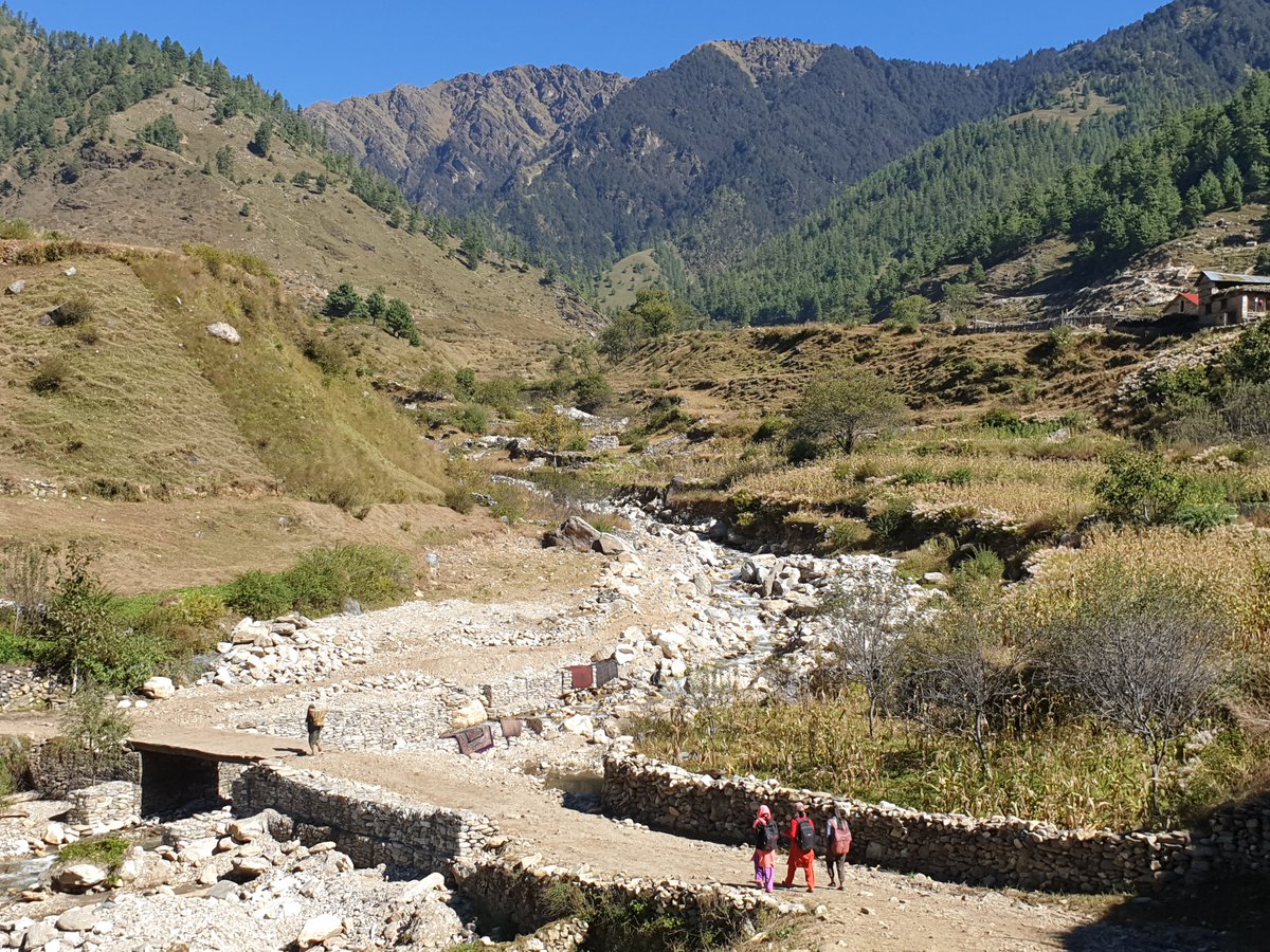 Tom Timberlake tweet media