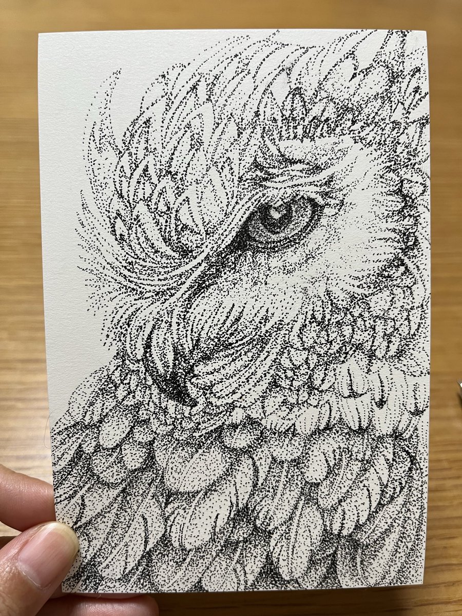 ✏️つかさ🐸 (@tsukasa_23_55) / Posts / X