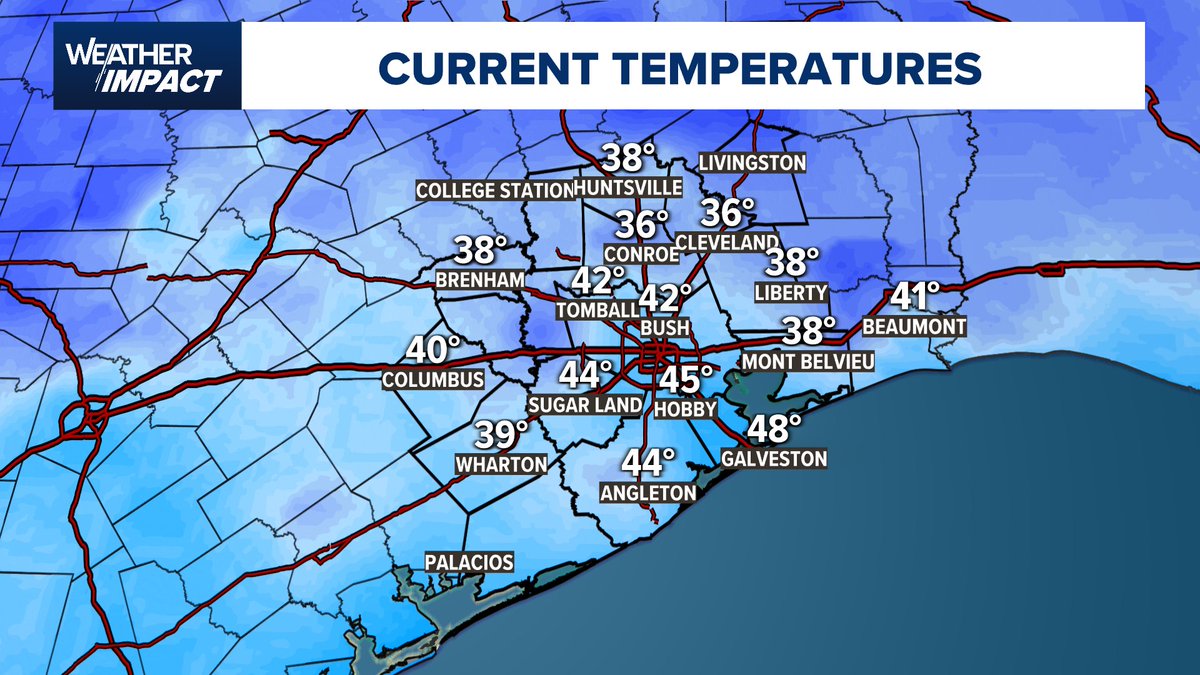 Chita Craft tweet media