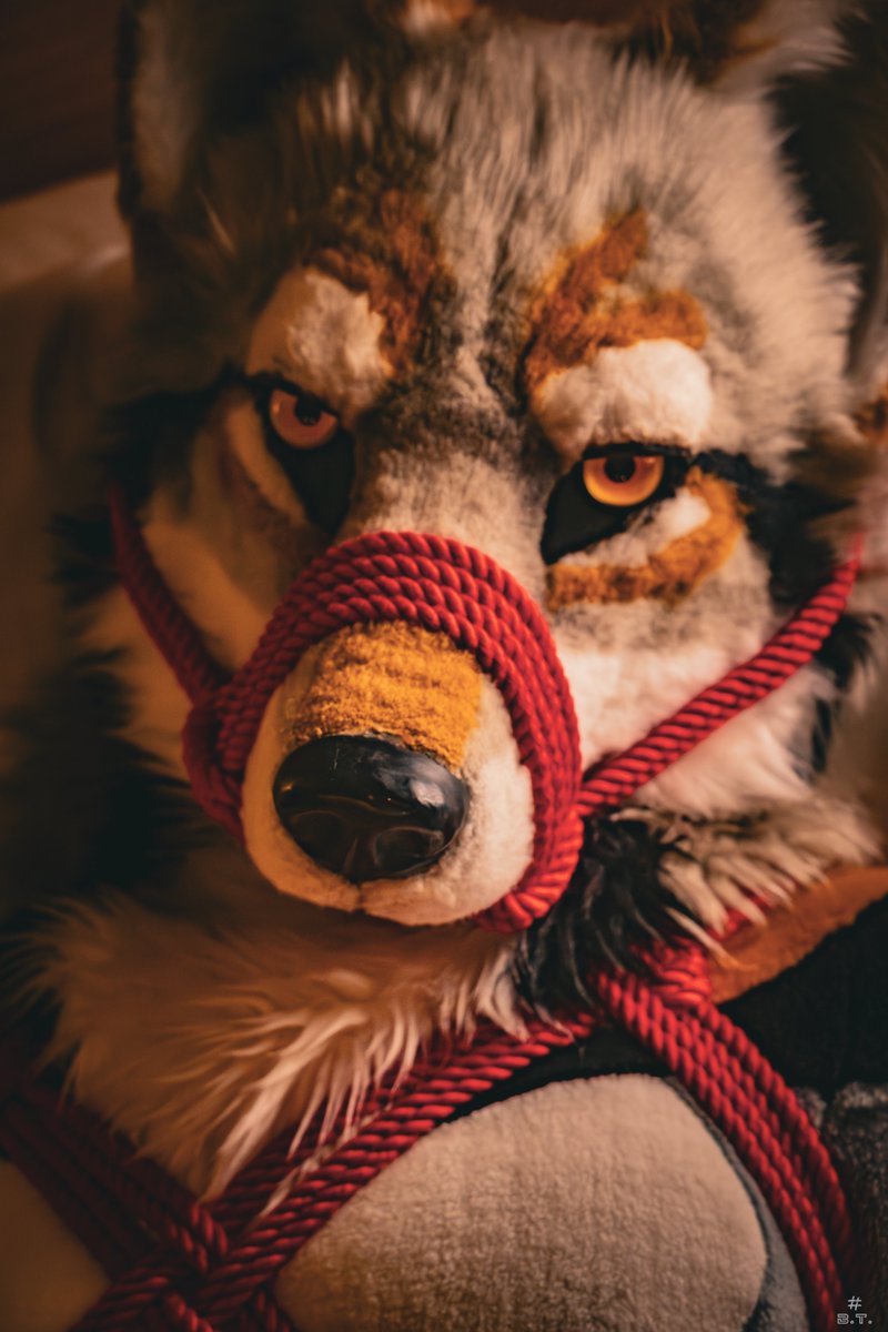 🐺🪢
🪢 <a href="/SilverKin37/">銀縛 - Shibari</a> 
📸<a href="/bluetoufu3/">藍豆腐BT🧪🍞⏩️ ？</a>