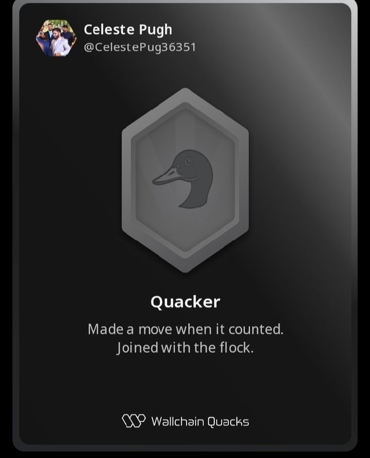 Just unlocked the Quacker on <a href="/wallchain/">Wallchain Quacks</a> 🏆

How cool is that?

Feels great to have my contributions recognized.

How’s Wallchain Quacks been treating you so far?

Not on board yet? Drop a comment for an invite 👇🦆