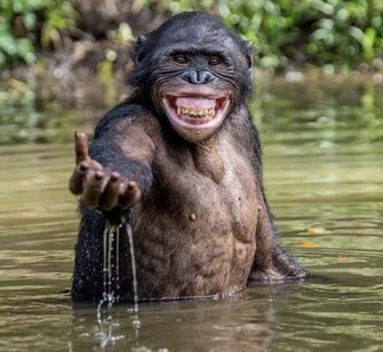 ajt4222's tweet image. 写真で一言