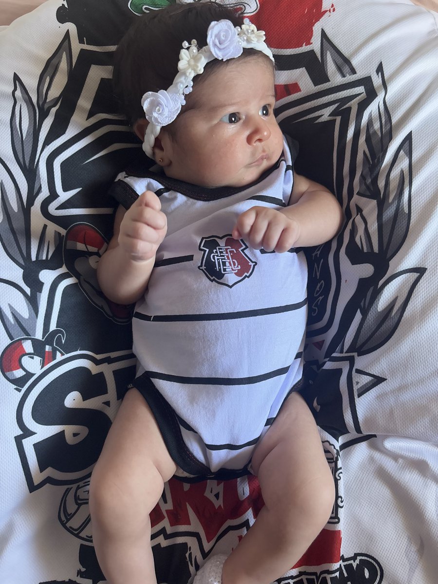 shonezinn's tweet photo. Venhamos e convenhamos, a gatinha nasceu pra ser tricolor 🇾🇪🖤🤍❤️ https://t.co/sYYEzHPM7V