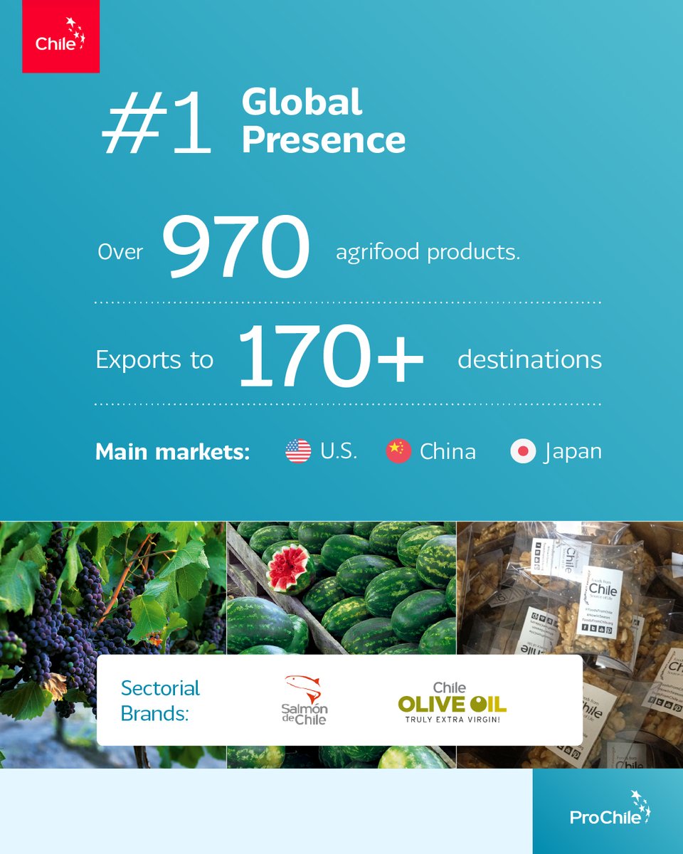 prochile_us's tweet photo. 🌎✨ Chilean agrifood: trust, innovation, and sustainability that conquer the world. Over 970 products reach 170+ destinations.

📊 Discover the figures and why the world trusts Chile.

#ProChile #ProChileUSA https://t.co/yNnGwEc0Kq