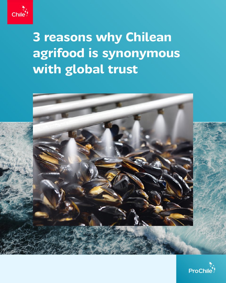 prochile_us's tweet photo. 🌎✨ Chilean agrifood: trust, innovation, and sustainability that conquer the world. Over 970 products reach 170+ destinations.

📊 Discover the figures and why the world trusts Chile.

#ProChile #ProChileUSA https://t.co/yNnGwEc0Kq